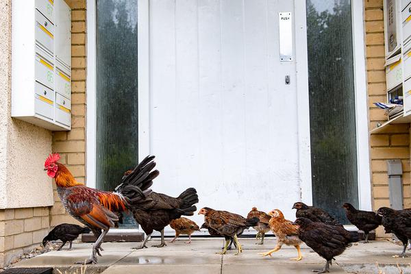 Bentuk Satgas Khusus, Sandiaga Bakal Permudah Perizinan Usaha UMKM.. 